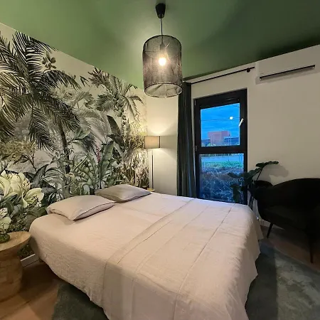 Villa Modern House 4 Bedrooms Tassin-la-Demi-Lune